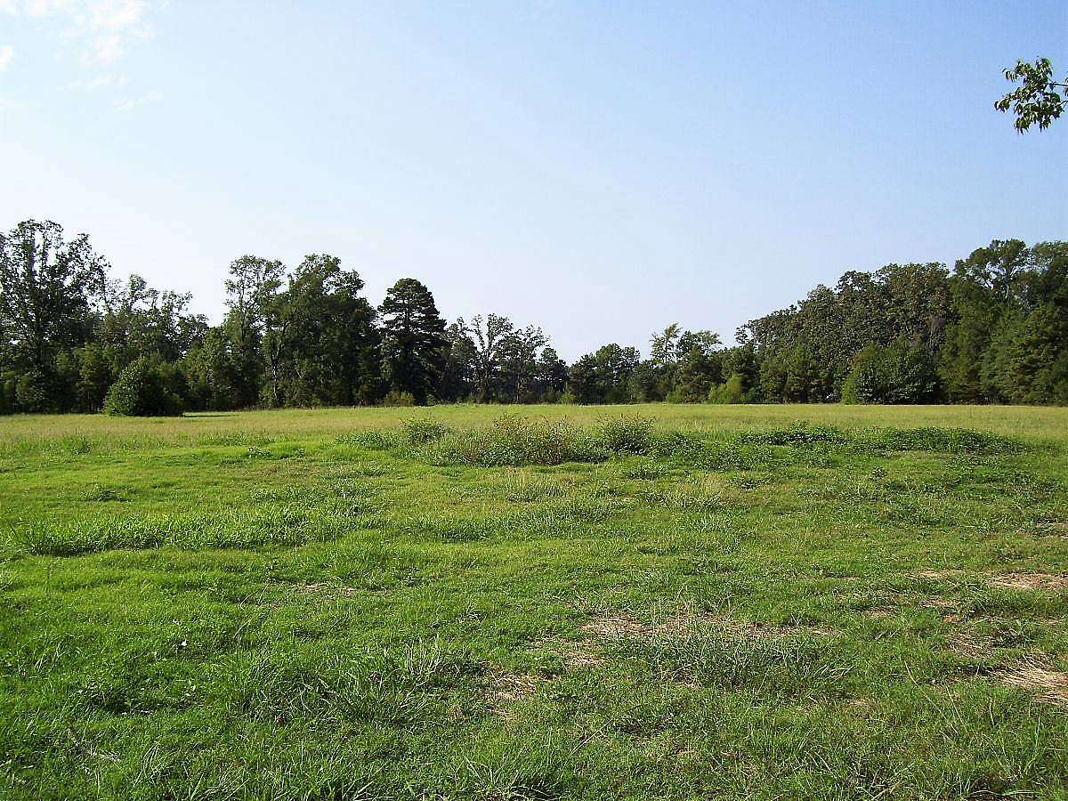8.79 Acres of Land for Sale in Ashdown, Arkansas