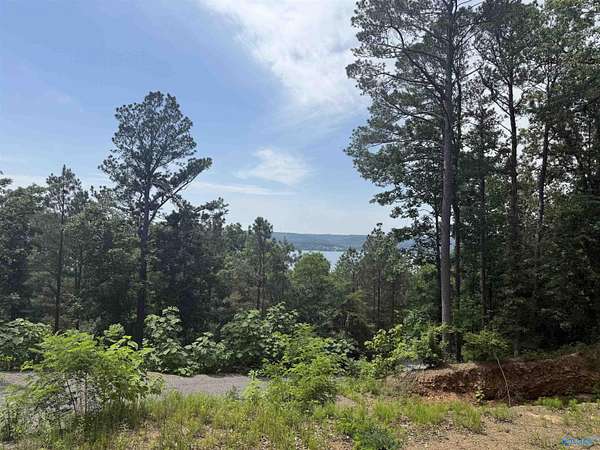 0.5 Acres of Residential Land for Sale in Guntersville, Alabama