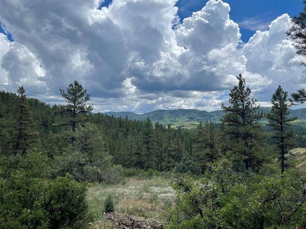 8 Acres of Land for Sale in Pagosa Springs, Colorado