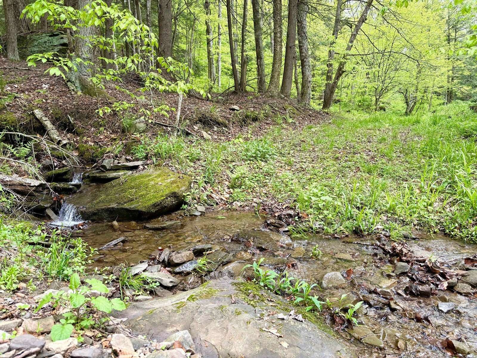 19.8 Acres of Recreational Land for Sale in Hancock, New York