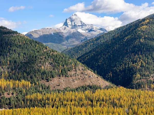 6.24 Acres of Land for Sale in Essex, Montana