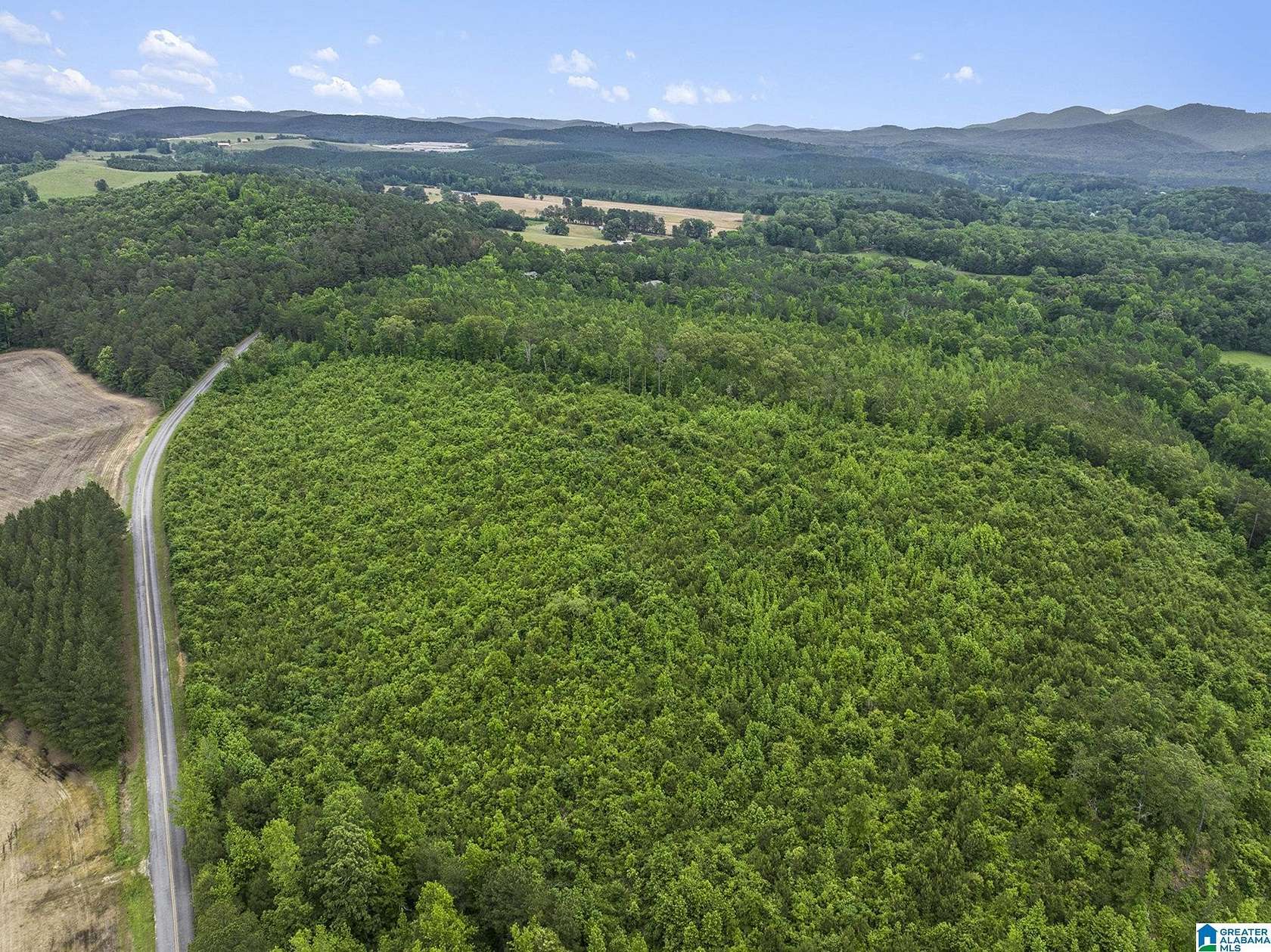 24 Acres of Land for Sale in Centre, Alabama