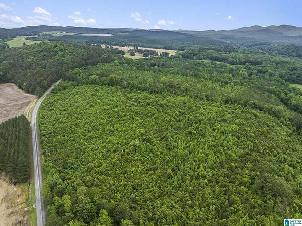 24 Acres of Land for Sale in Centre, Alabama