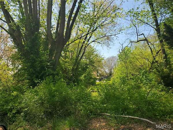 0.16 Acres of Residential Land for Sale in Belleville, Illinois