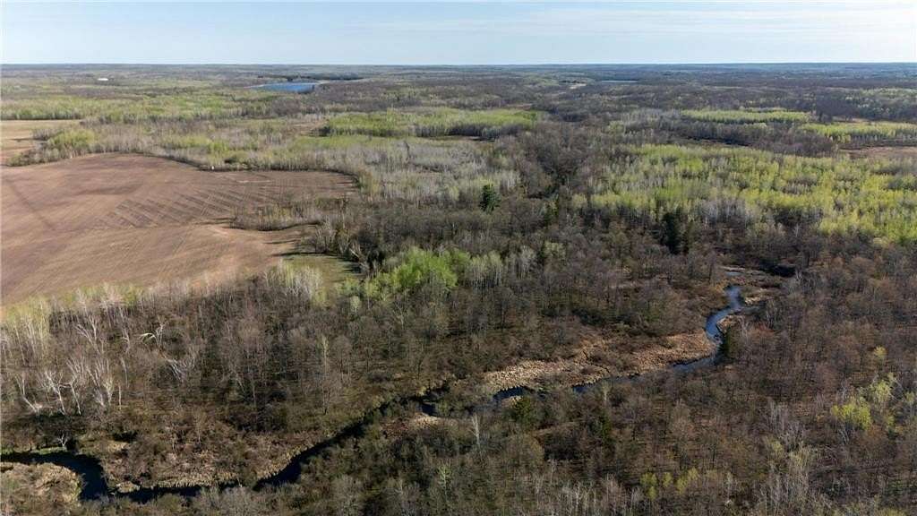 60 Acres of Land for Sale in Danforth Township, Minnesota