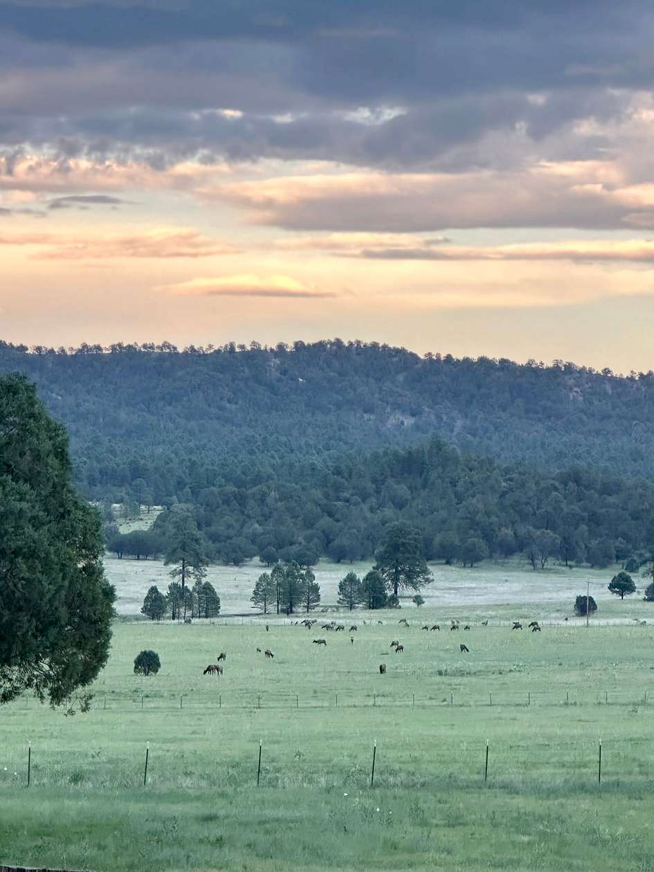 60 Acres of Land for Sale in Mimbres, New Mexico