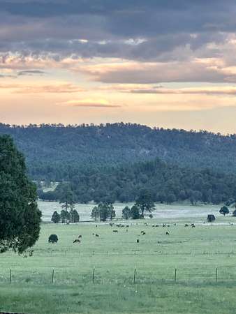 60 Acres of Land for Sale in Mimbres, New Mexico