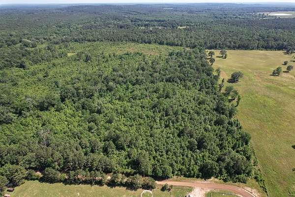 15.4 Acres of Recreational Land & Farm for Sale in Timpson, Texas