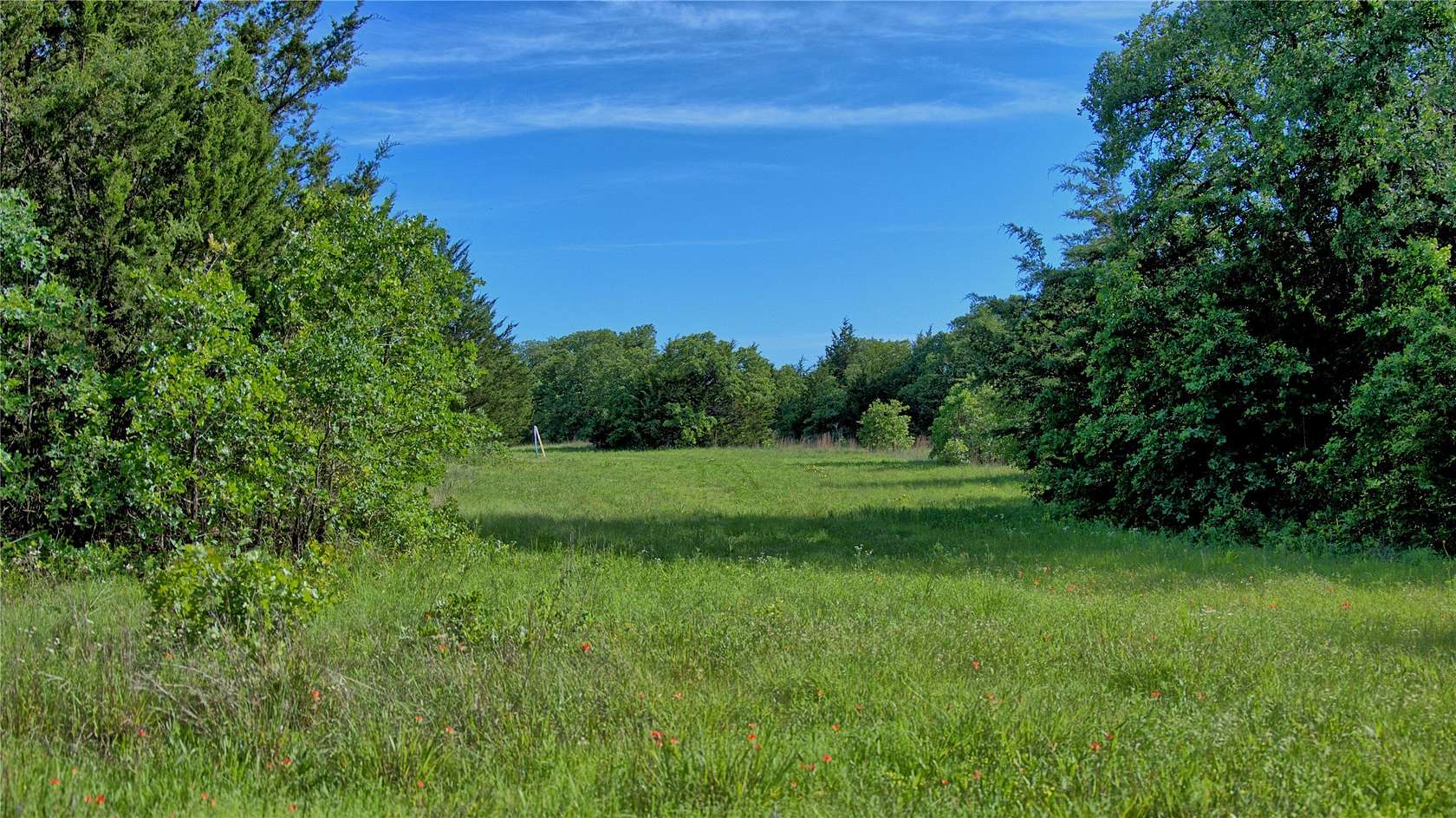 57.1 Acres of Recreational Land for Sale in St. Jo, Texas