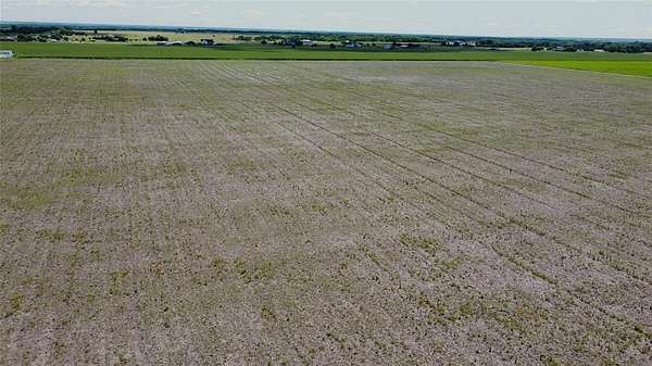 80 Acres of Agricultural Land for Sale in Grandview, Texas
