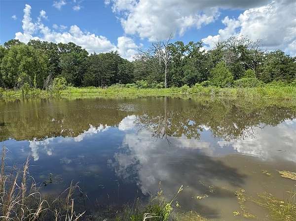 24.4 Acres of Recreational Land for Sale in Cumby, Texas