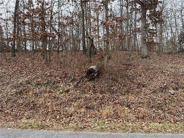 0.29 Acres of Residential Land for Sale in Bella Vista, Arkansas