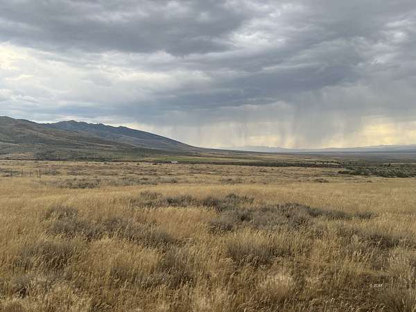 11.7 Acres of Land for Sale in Jiggs, Nevada