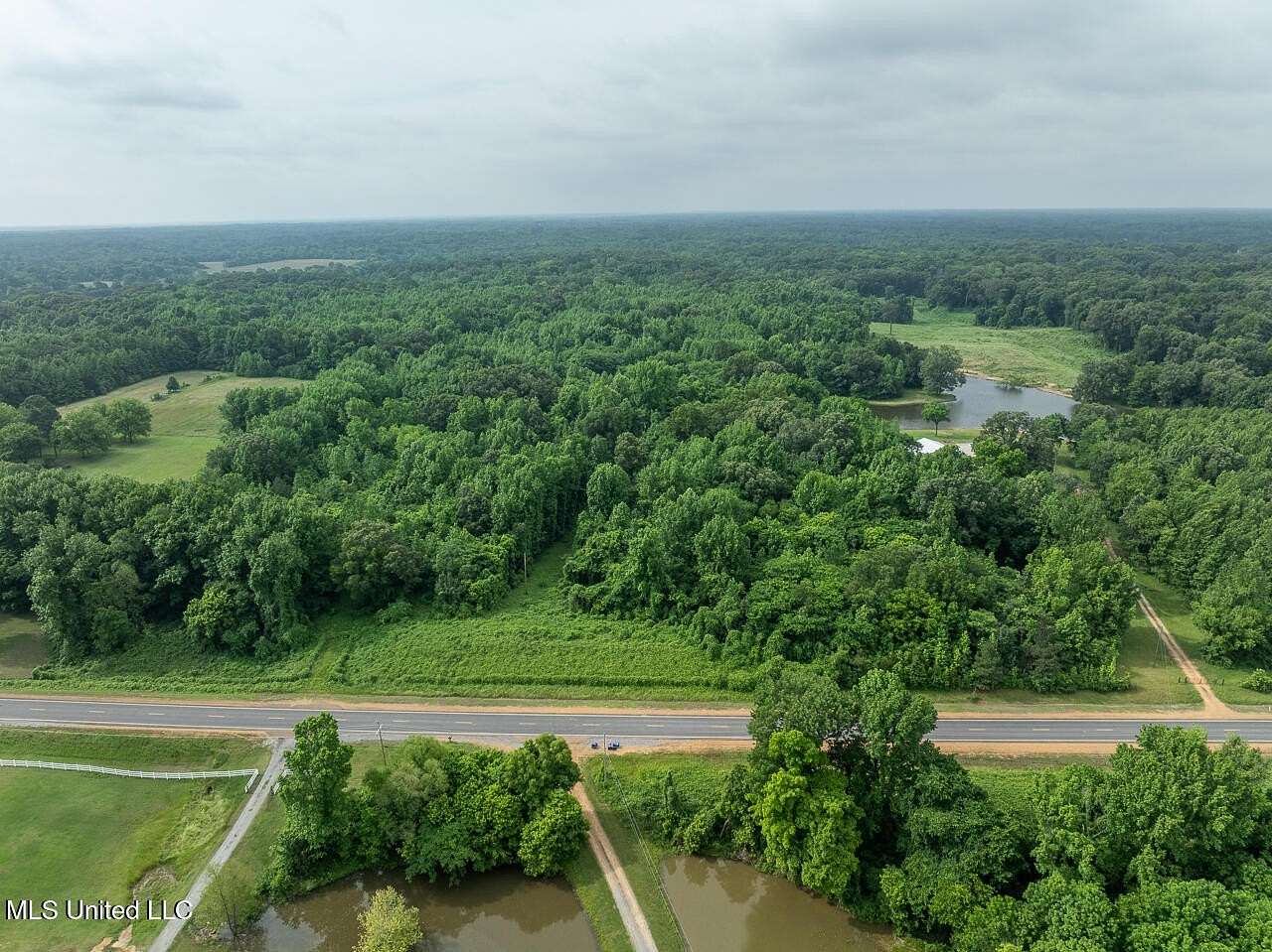 59.6 Acres of Recreational Land for Sale in Walls, Mississippi