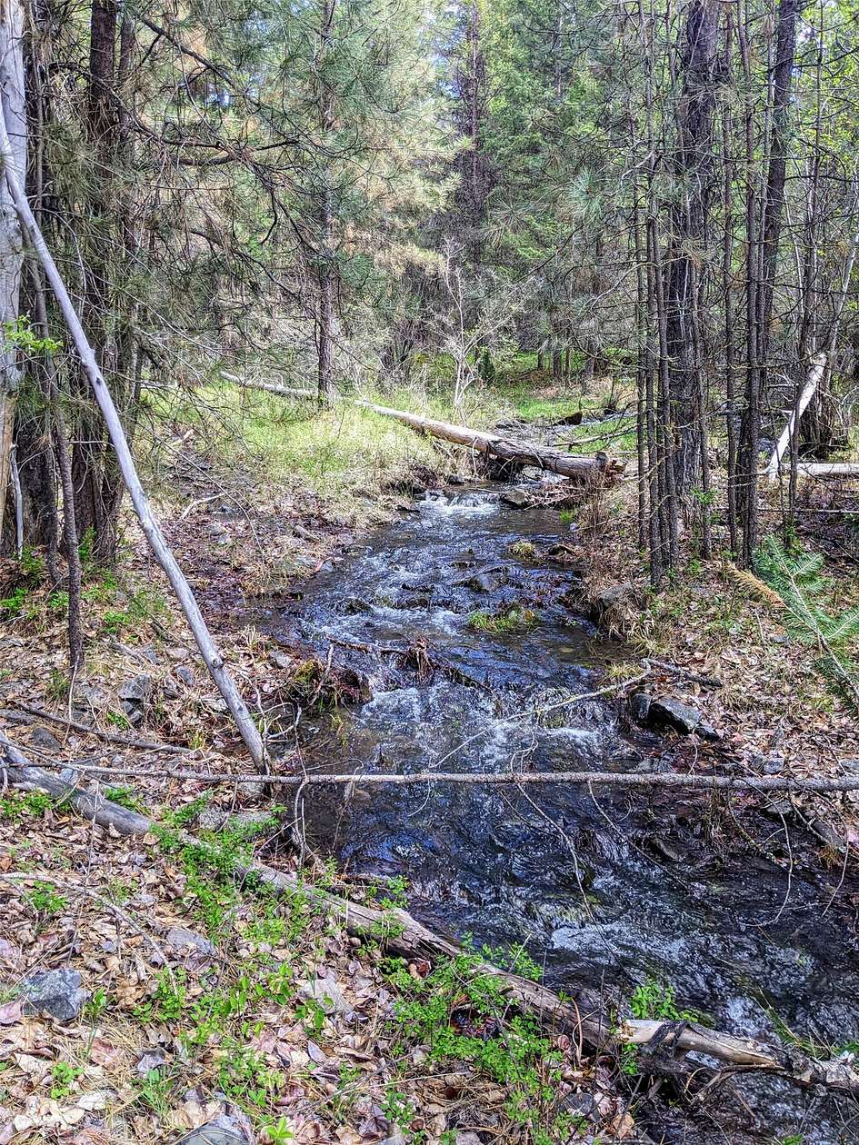 3.38 Acres of Land for Sale in Plains, Montana