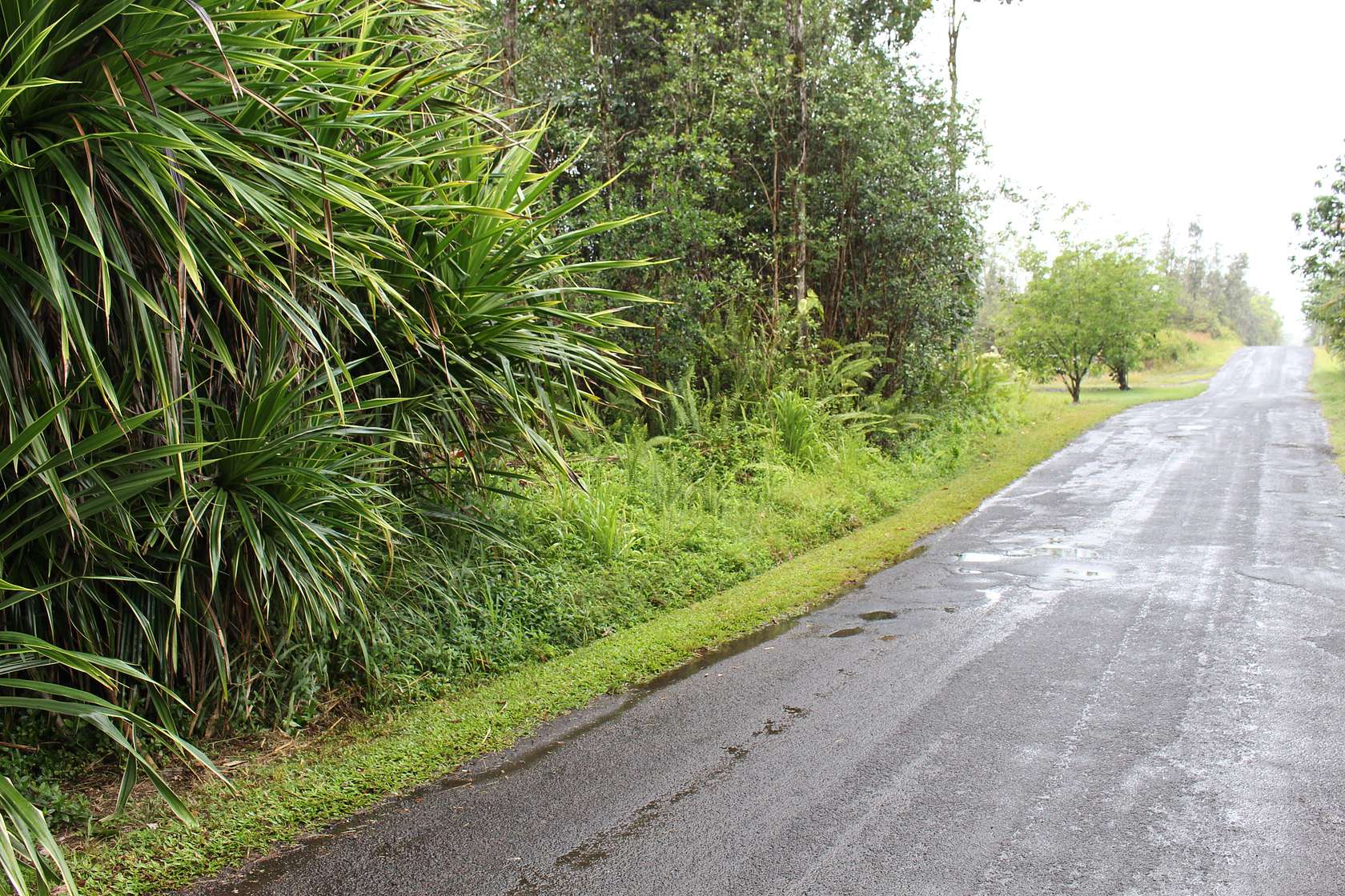 1 Acre of Land for Sale in Keaau, Hawaii