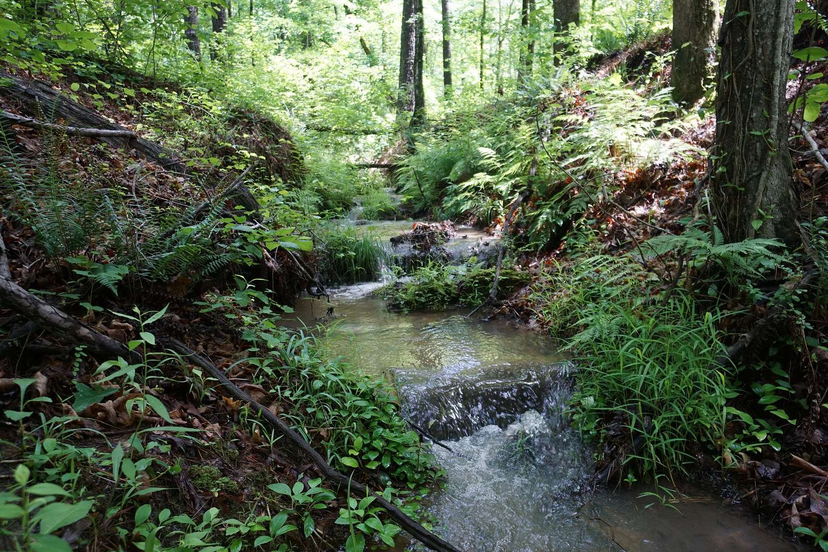 30.8 Acres of Land for Sale in Barnesville, Georgia