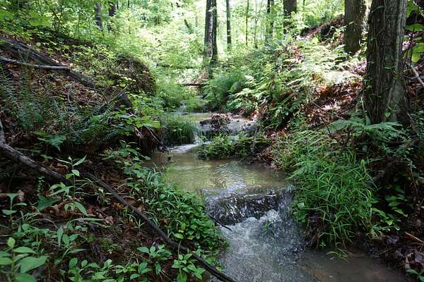 30.8 Acres of Land for Sale in Barnesville, Georgia