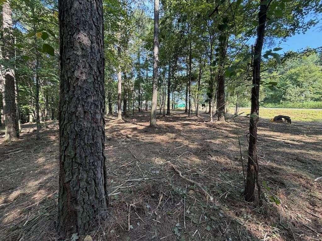 1.53 Acres of Residential Land for Sale in Haletown, Tennessee