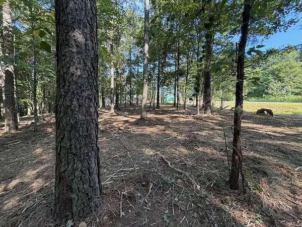 1.53 Acres of Residential Land for Sale in Haletown, Tennessee