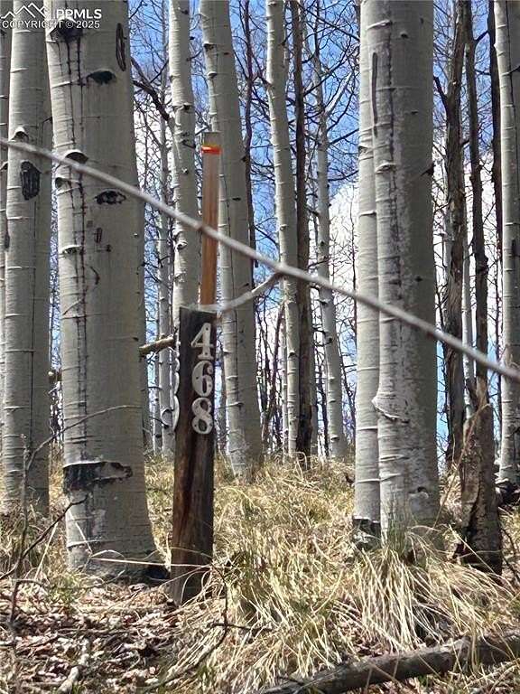 1.1 Acres of Land for Sale in Lake George, Colorado