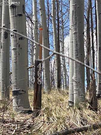 1.1 Acres of Land for Sale in Lake George, Colorado