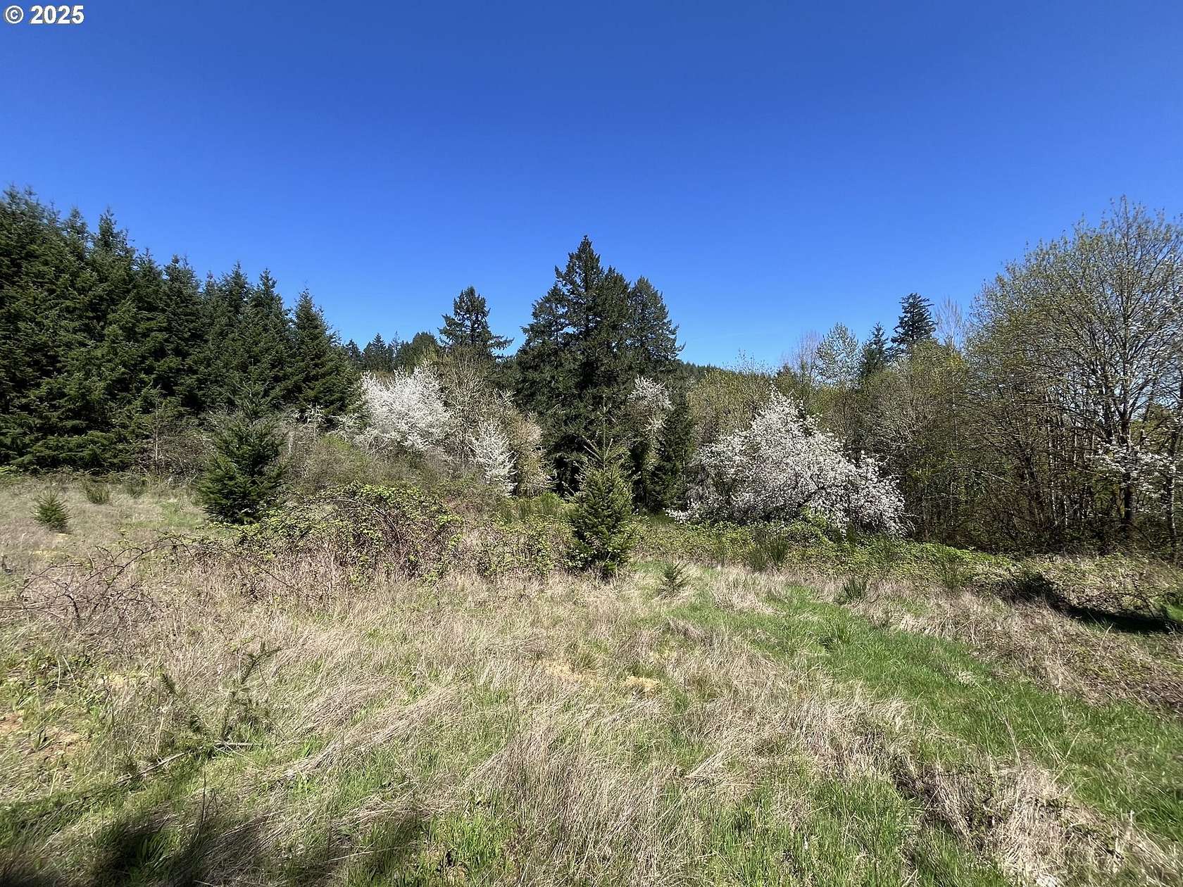 2.76 Acres of Residential Land for Sale in Forest Grove, Oregon