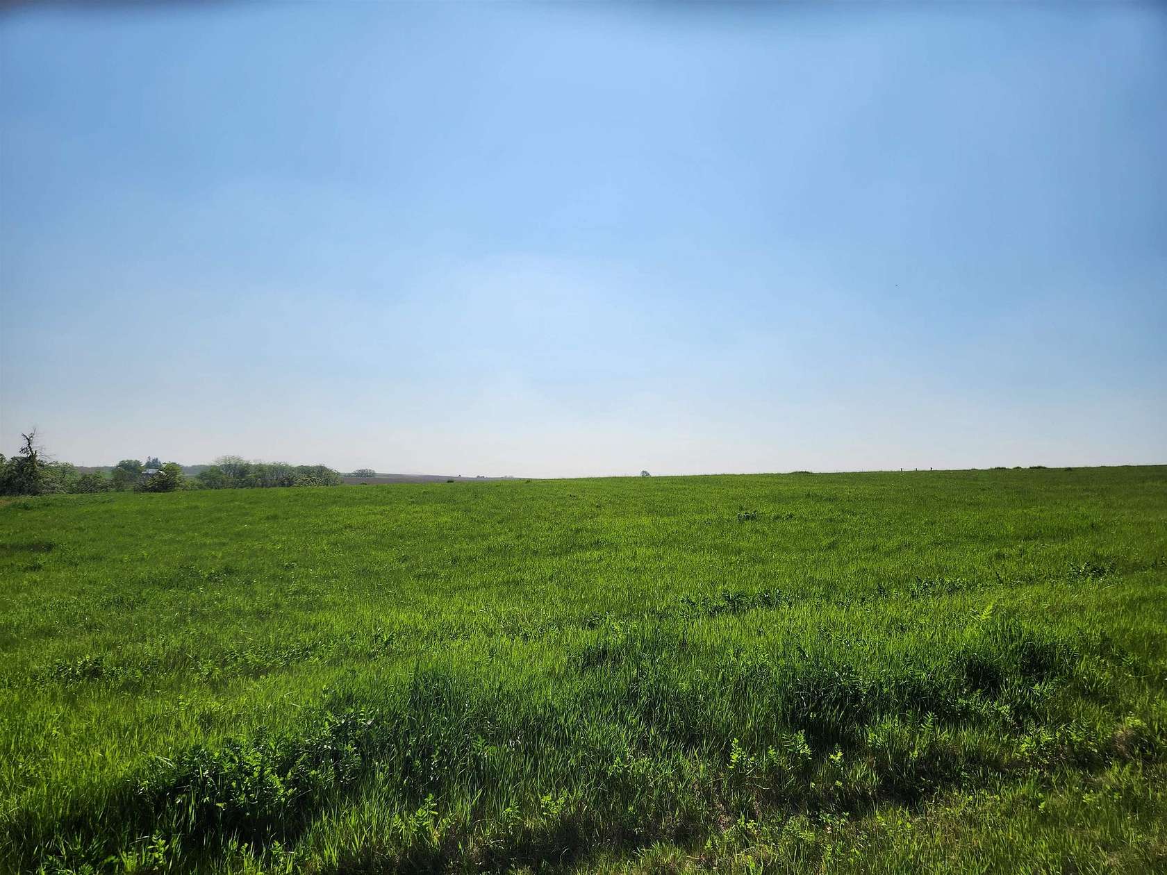 1 Acre of Residential Land for Sale in Cherry Grove-Shannon Township, Illinois