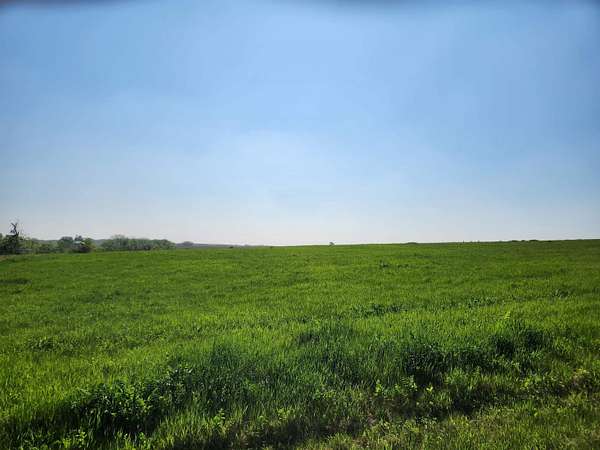 1 Acre of Residential Land for Sale in Cherry Grove-Shannon Township, Illinois