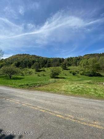 71.7 Acres of Recreational Land for Sale in Worcester, New York