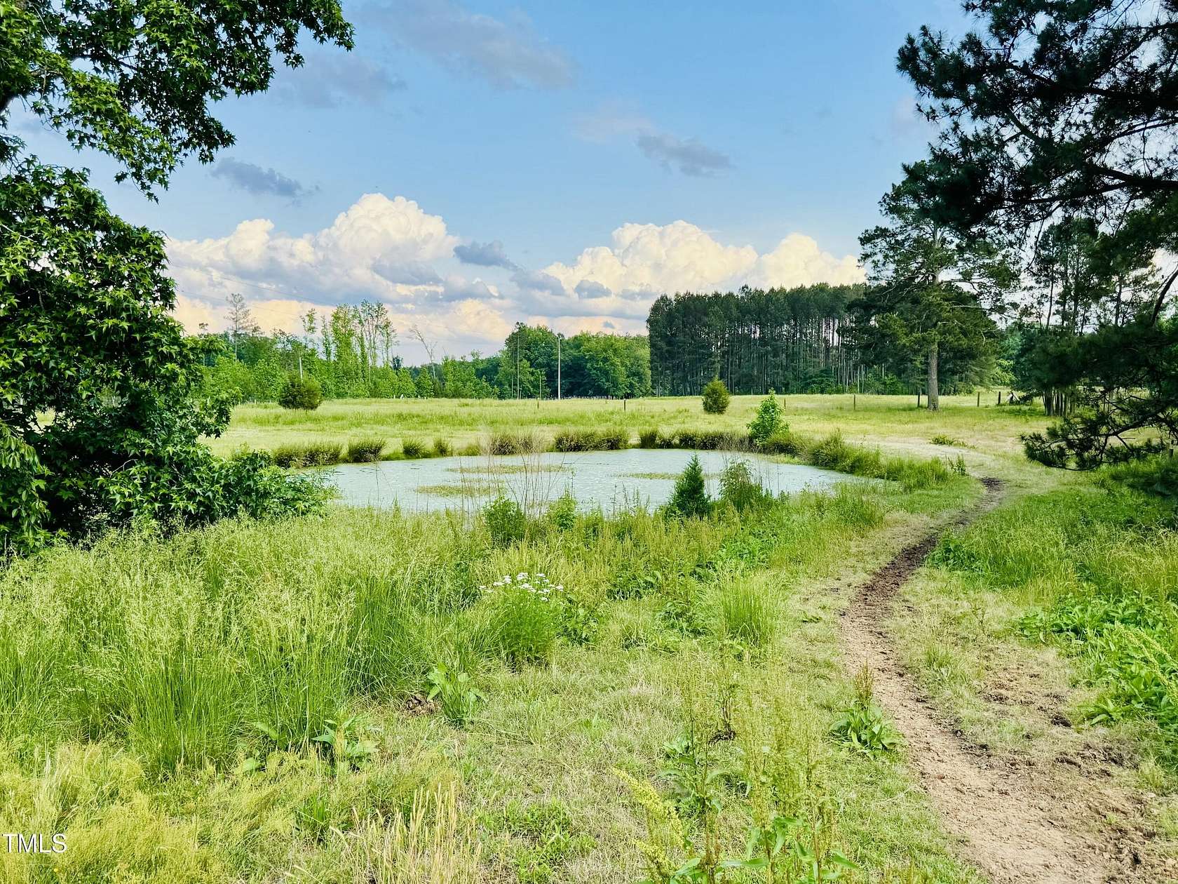 21.9 Acres of Land for Sale in Bahama, North Carolina