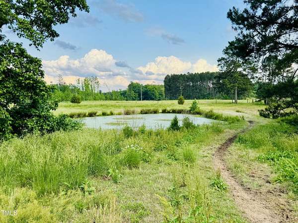 21.9 Acres of Land for Sale in Bahama, North Carolina