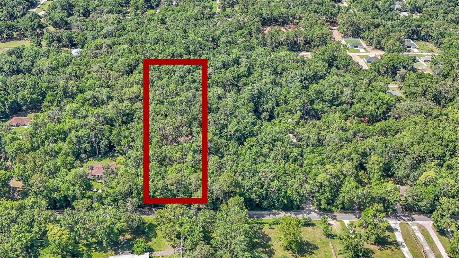 3 Acres of Residential Land for Sale in Belleview, Florida