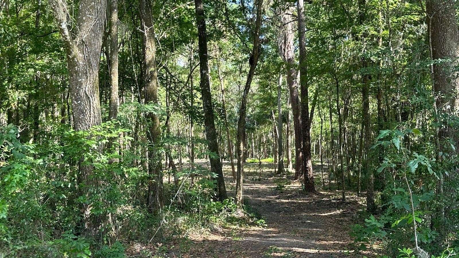3 Acres of Residential Land for Sale in Belleview, Florida