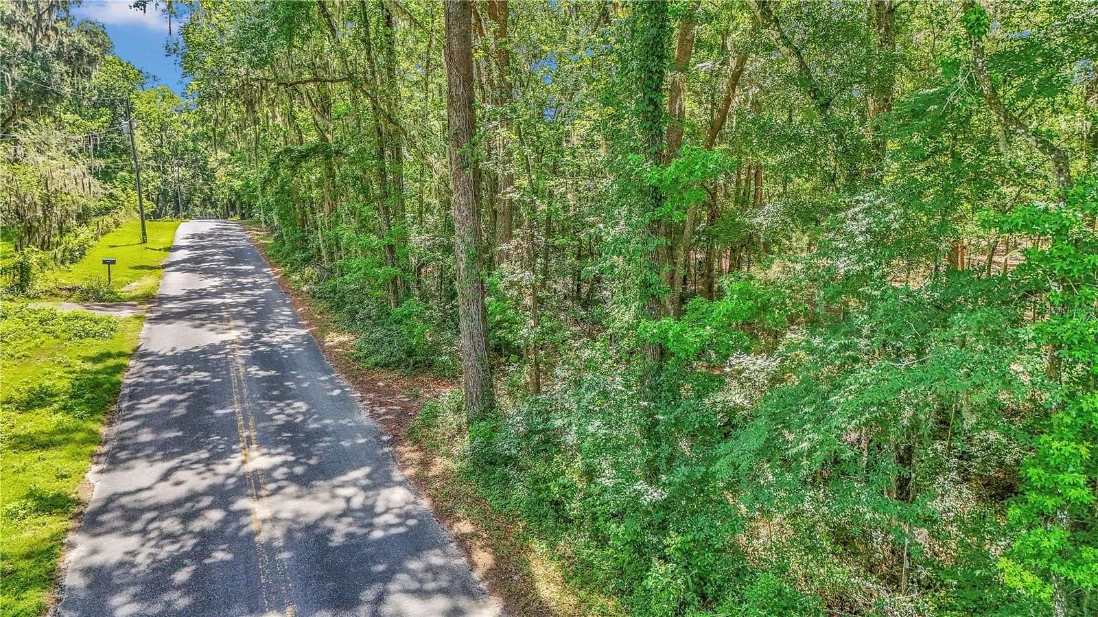 3 Acres of Residential Land for Sale in Belleview, Florida