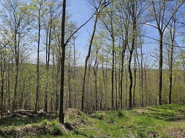 88.6 Acres of Recreational Land for Auction in Bolivar, New York