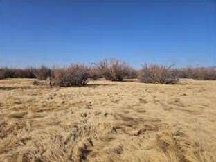 1,115 Acres of Agricultural Land for Sale in San Antonio, New Mexico