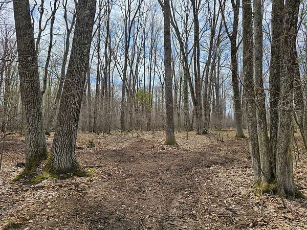 3 Acres of Land for Sale in Beecher Lake, Wisconsin