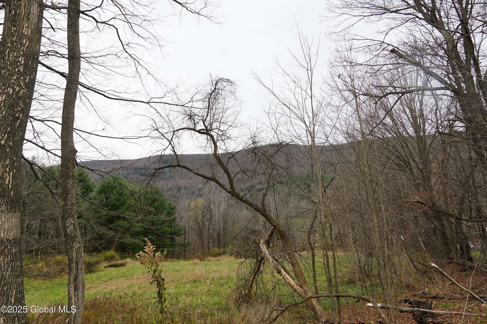 148 Acres of Recreational Land for Sale in Lexington, New York