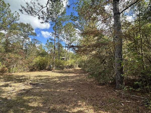 20 Acres of Recreational Land & Farm for Sale in Crestview, Florida
