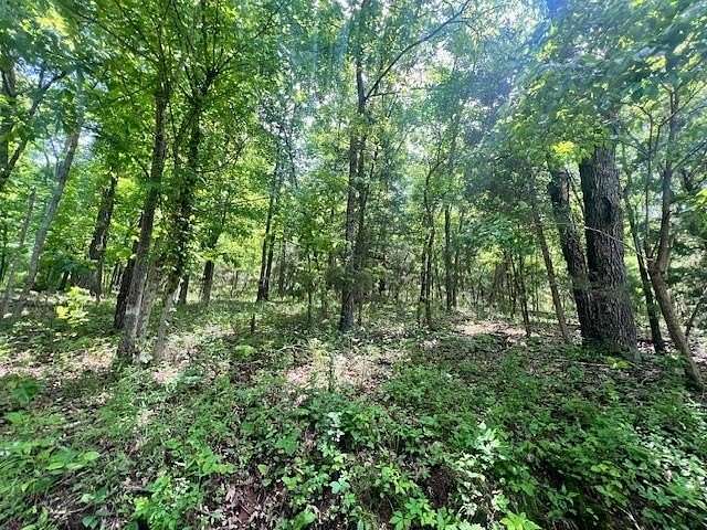 4 Acres of Residential Land for Sale in Mammoth Spring, Arkansas