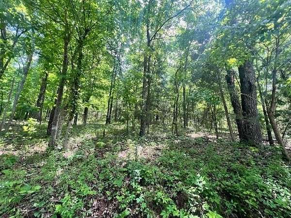 4 Acres of Residential Land for Sale in Mammoth Spring, Arkansas