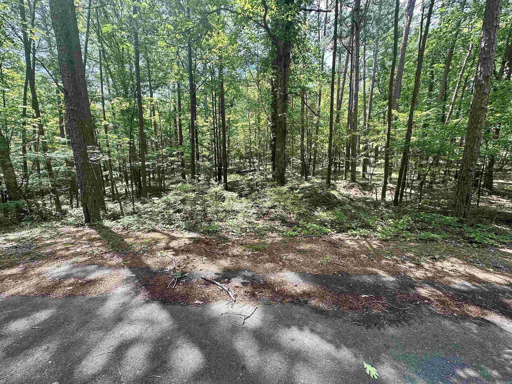 0.34 Acres of Land for Sale in Hot Springs Village, Arkansas