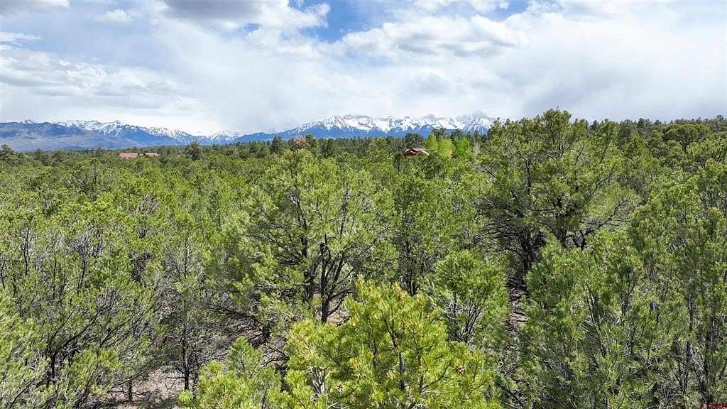 4.59 Acres of Residential Land for Sale in Ridgway, Colorado