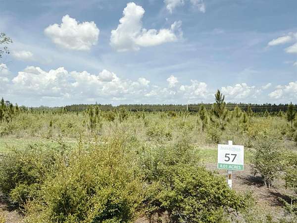 8 Acres of Residential Land for Sale in Jay, Florida
