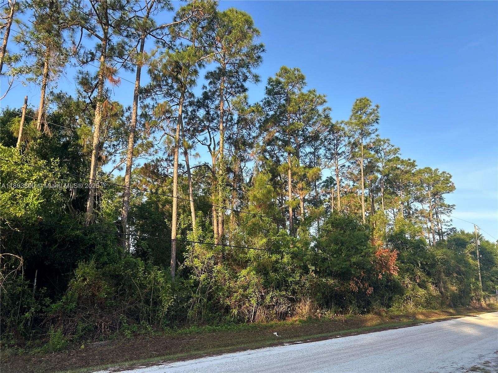 1.15 Acres of Residential Land for Sale in Loxahatchee Groves, Florida