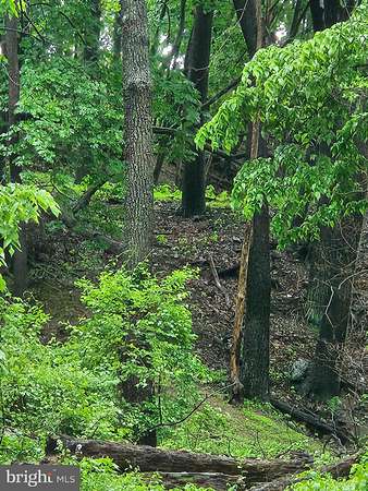 1.13 Acres of Land for Sale in Breinigsville, Pennsylvania