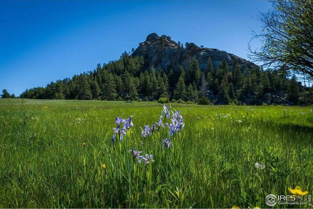 35.2 Acres of Recreational & Residential Land for Sale in Livermore, Colorado