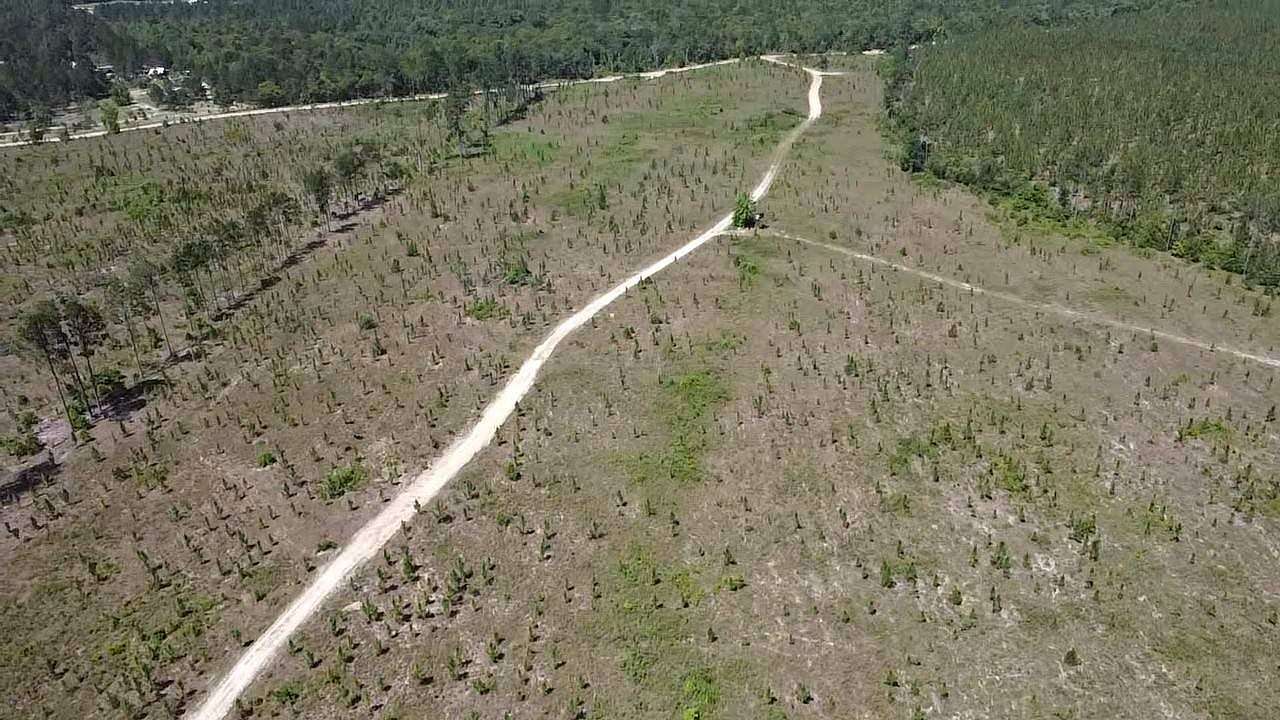 110 Acres of Recreational Land for Sale in Kershaw, South Carolina