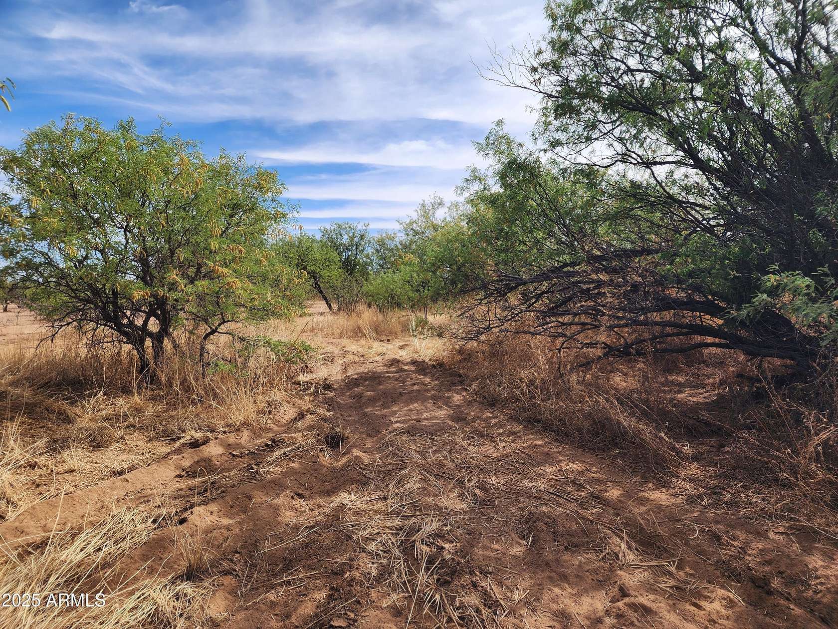 0.95 Acres of Land for Sale in Sierra Vista, Arizona